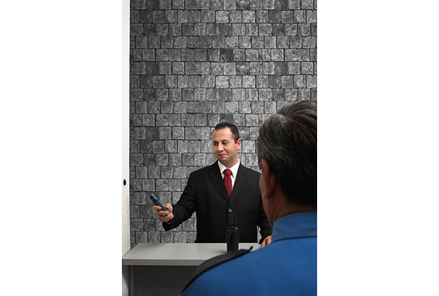 Guardia de Seguridad Corporativo