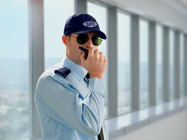 Servicios de Seguridad Privada